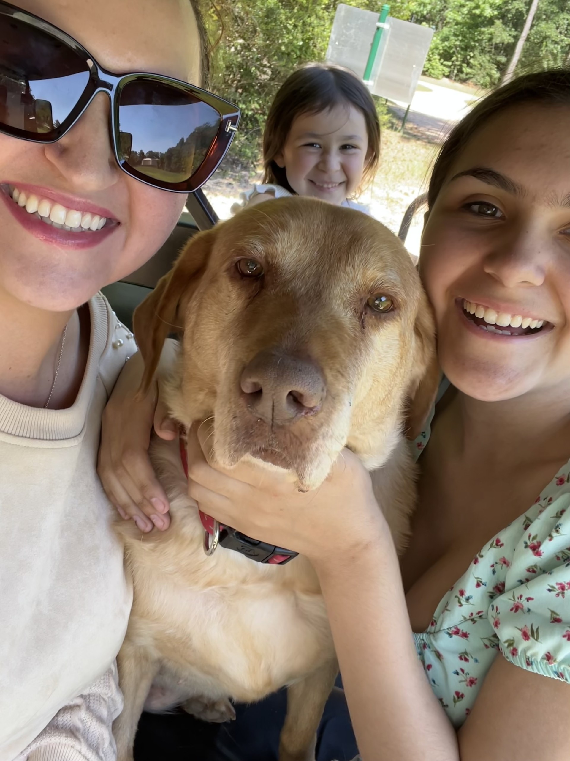 Belle — Randi's beloved red Dudley Labrador