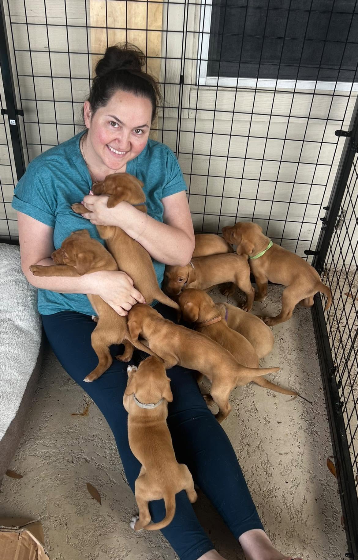 Randi with Ginger's litter — the surprise that started the Texas Red revival